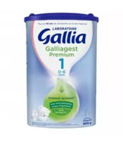 Gallia Galliagest Premium 1 Lait En Poudre B/800g à La Lande-de-Fronsac