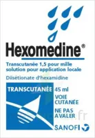 Hexomedine Transcutanee 1,5 Pour Mille, Solution Pour Application Locale à La Lande-de-Fronsac
