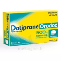 Dolipraneorodoz 500 Mg, Comprimé Orodispersible à La Lande-de-Fronsac