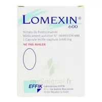 Lomexin 600 Mg Caps Molle Vaginale Plq/1 à La Lande-de-Fronsac